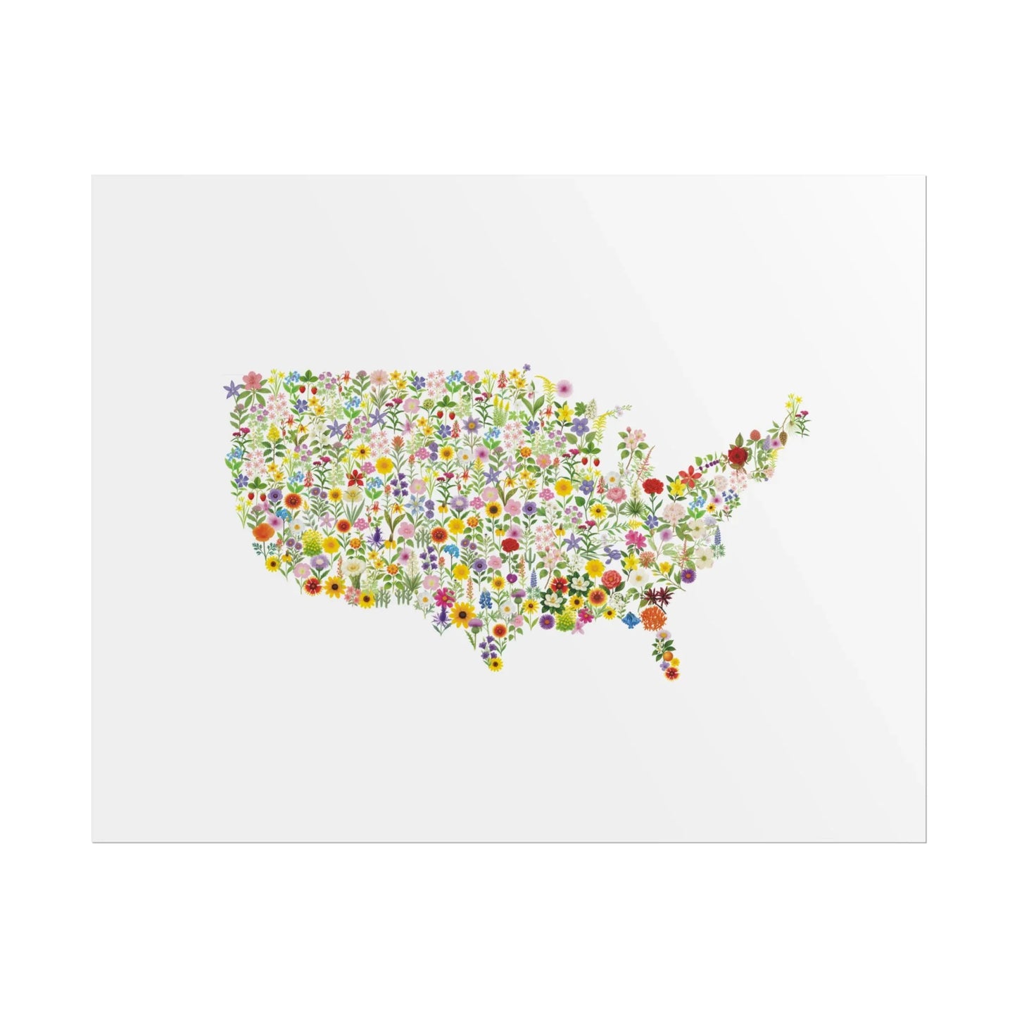USA Wildflower Map Print - Watercolor Floral U.S. State Art Poster, Floral Wall Art, Gift for Nature Lovers, Living Room Decor