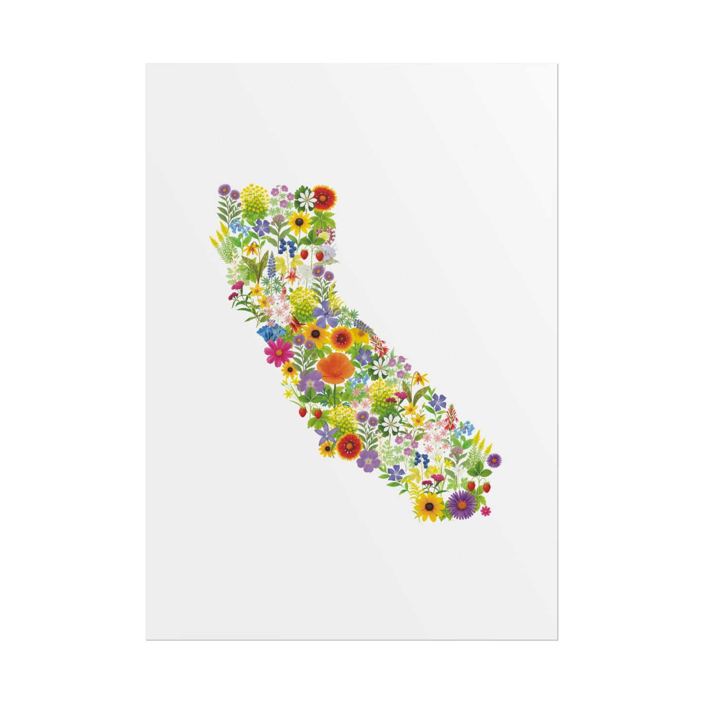 California Wildflowers, California Map, Vibrant Wall Art, Nature Wall Decor, Botanical Poster, Gift for Nature Lovers, Home Decor