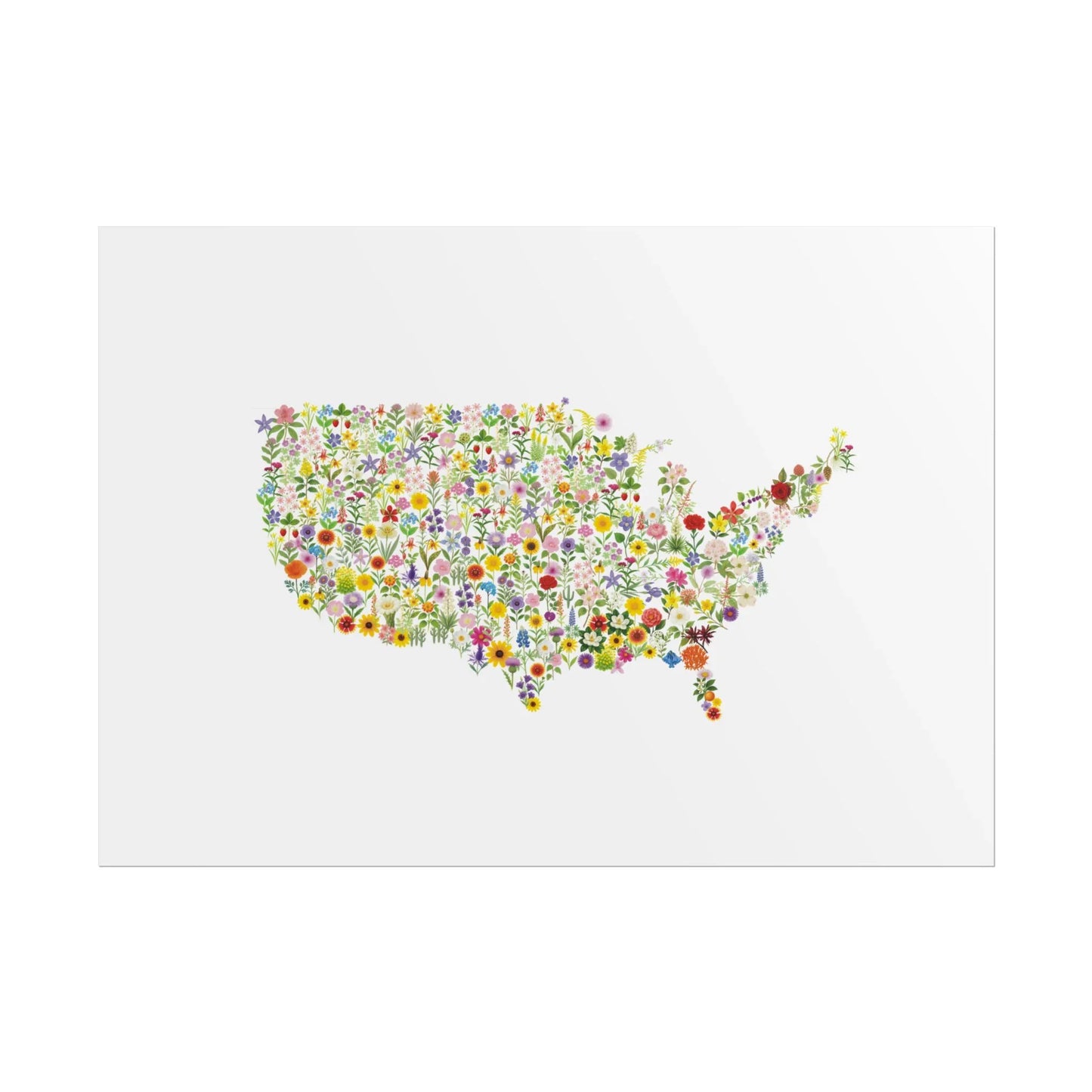 USA Wildflower Map Print - Watercolor Floral U.S. State Art Poster, Floral Wall Art, Gift for Nature Lovers, Living Room Decor