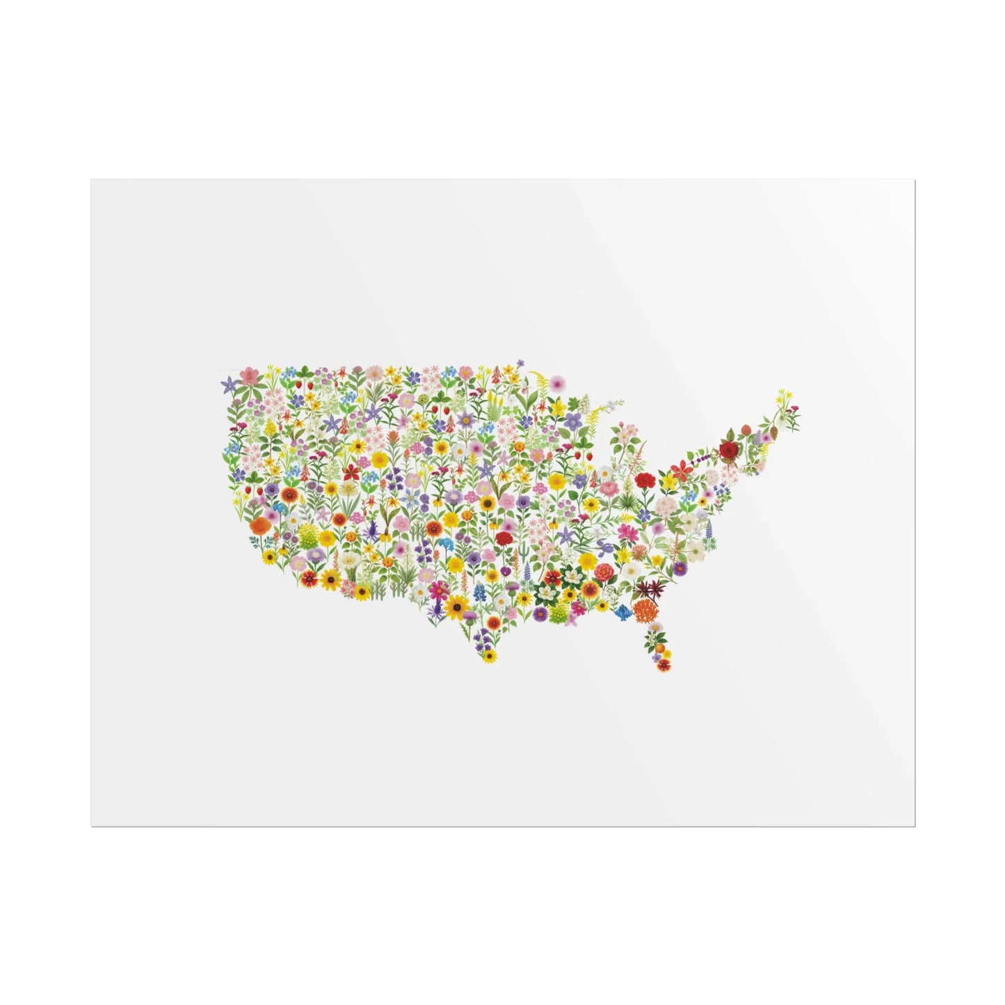 USA Wildflower Map Print - Watercolor Floral U.S. State Art Poster, Floral Wall Art, Gift for Nature Lovers, Living Room Decor