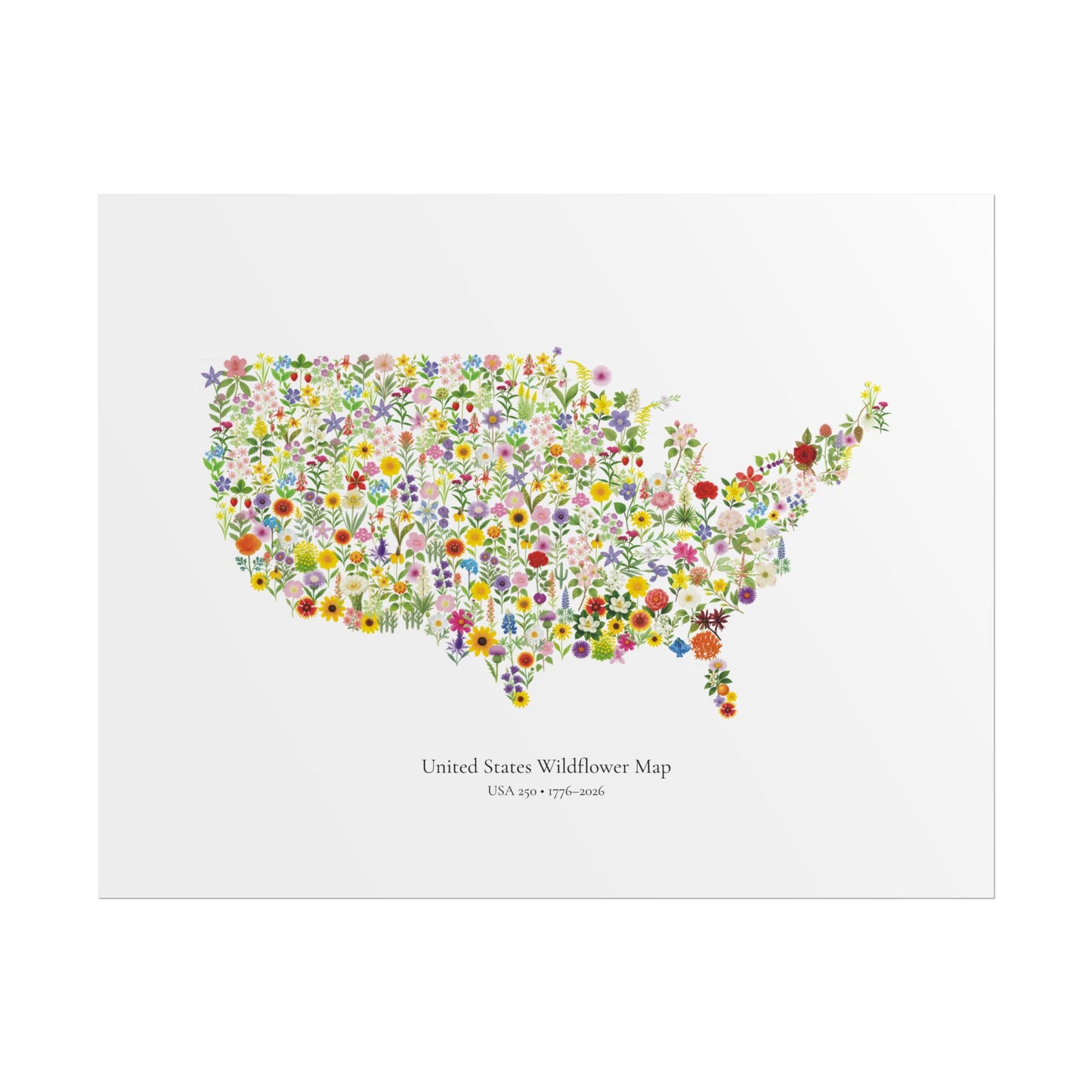 USA Wildflower Map – 250th Anniversary Edition