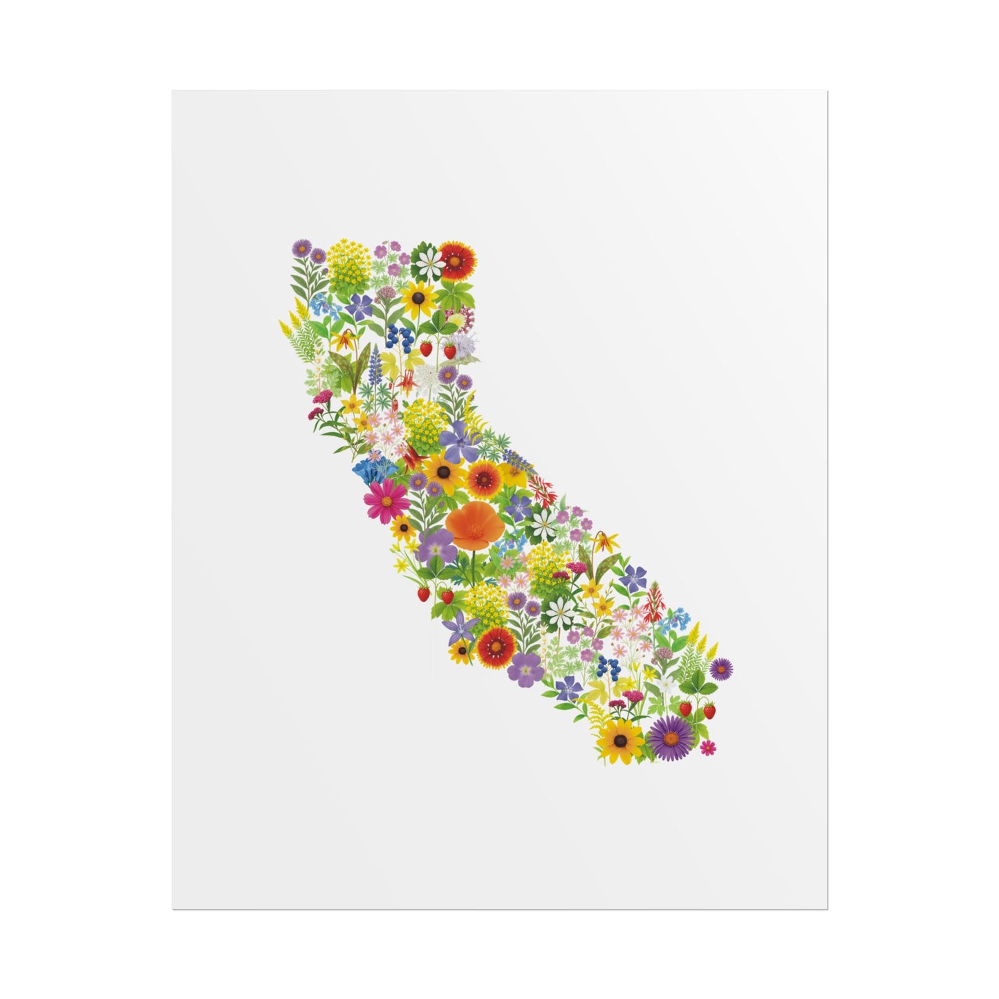 California Wildflowers, California Map, Vibrant Wall Art, Nature Wall Decor, Botanical Poster, Gift for Nature Lovers, Home Decor